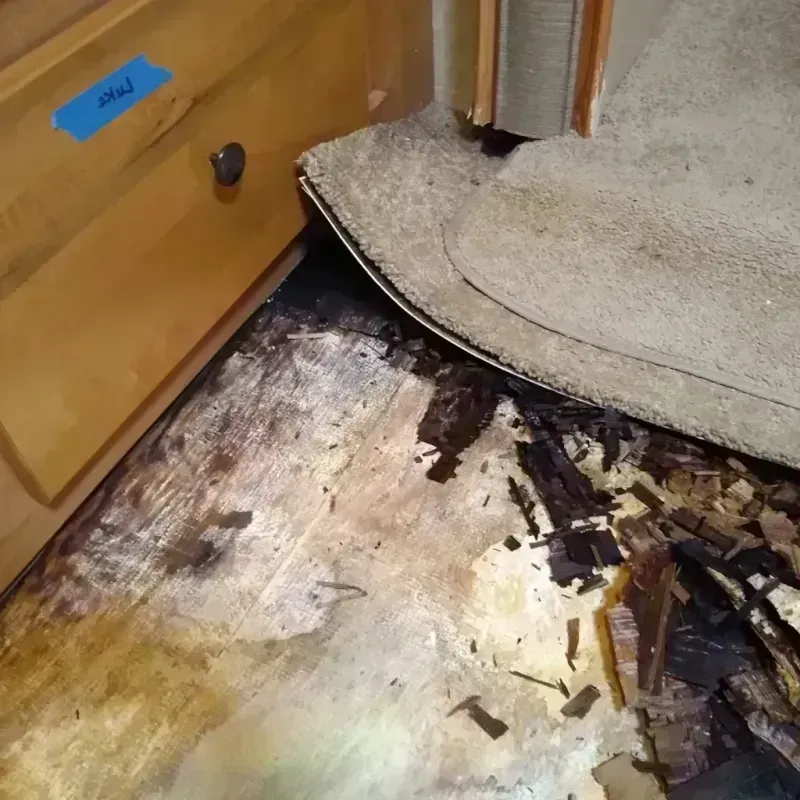 Best Wood Floor Water Damage Service in Exeter, PA